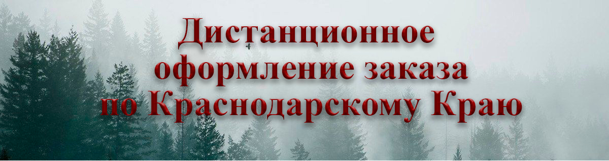 Главная