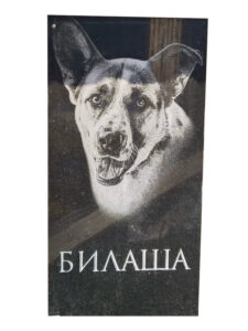 Памятник животному собаке псу