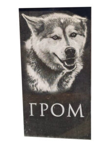 Памятник собаке